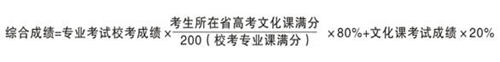 合肥學(xué)院2014年美術(shù)專業(yè)招生簡(jiǎn)章