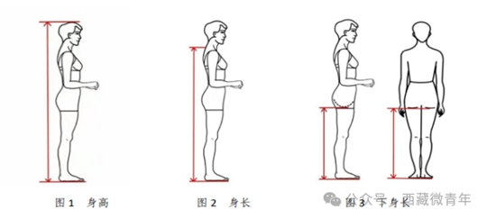西藏自治區(qū)2025年普通高等學(xué)校招生藝術(shù)類（表<導(dǎo)>演類）專業(yè)報考簡介