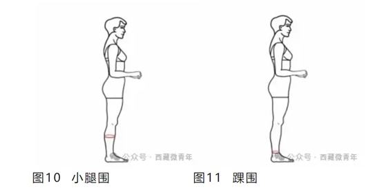 西藏自治區(qū)2025年普通高等學(xué)校招生藝術(shù)類（表<導(dǎo)>演類）專業(yè)報考簡介