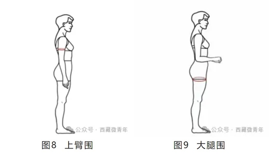 西藏自治區(qū)2025年普通高等學(xué)校招生藝術(shù)類（表<導(dǎo)>演類）專業(yè)報考簡介