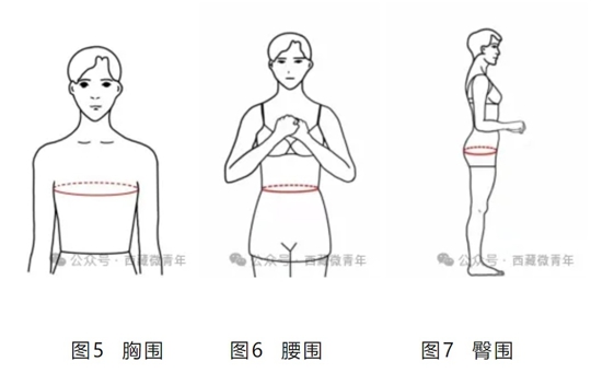 西藏自治區(qū)2025年普通高等學(xué)校招生藝術(shù)類（表<導(dǎo)>演類）專業(yè)報考簡介