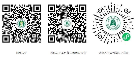 湖北大學2025年藝術(shù)類招生簡章