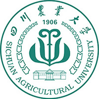 2025年全國高校專項(xiàng)計(jì)劃院校及招生簡章匯總