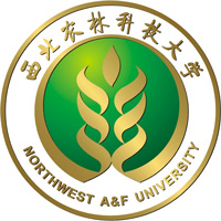 2025年強基計劃試點高校名單及招生簡章匯總